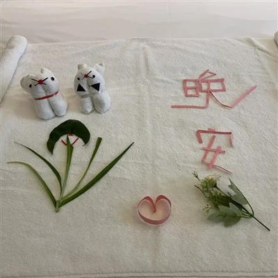 Hotelli Turn Down Towel